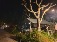 버드하우스캠핑장