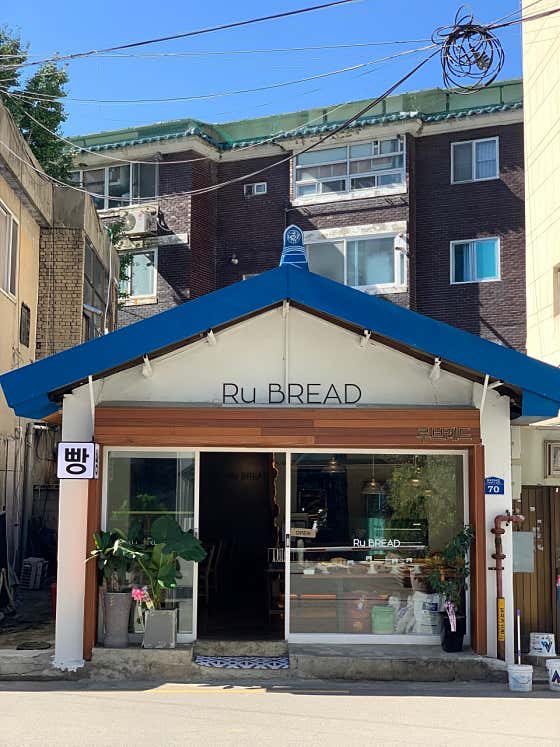 루브레드 사진