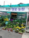 영꽃농원