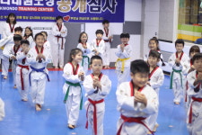 새나라태권도장