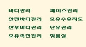 미르맘케어