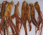 강씨네금산인삼농장