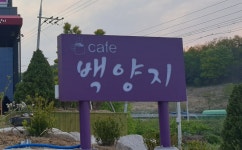 카페백양지