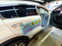 타요펫모빌리티