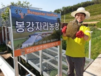 봉강자라팜 자라농장