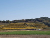 봉강자라팜 자라농장