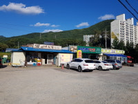 내린천약초