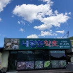 내린천약초