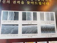 프리헤어