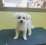 미스멍 본점