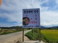 동호해변 섭국