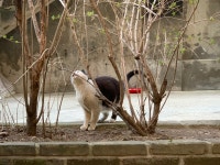 정중동 스테이 앤 하우스