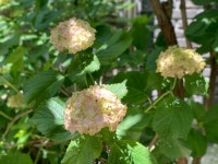 정중동 스테이 앤 하우스