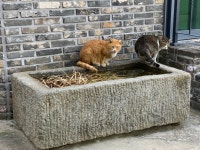 정중동 스테이 앤 하우스