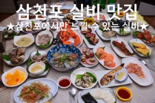 노산실비