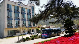 소나무향기펜션