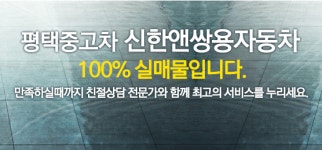 신한앤쌍용자동차