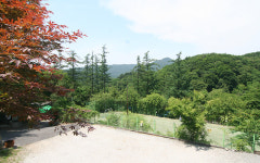 대궐오토캠핑장