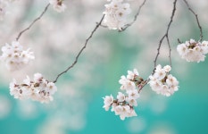 스마일시니어 베리굿 재가방문요양센터