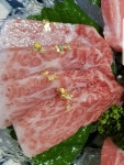 라페참치