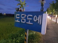 도담도예