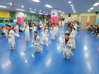 교동경희대태권도
