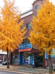 부동산119공인중개사사무소