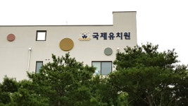 에이펙스컴퍼니