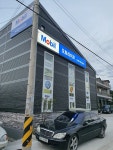 오토라이프