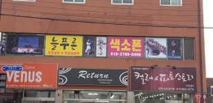 늘푸른색소폰