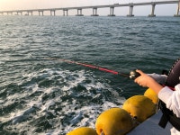 인천배낚시 킹콩낚시