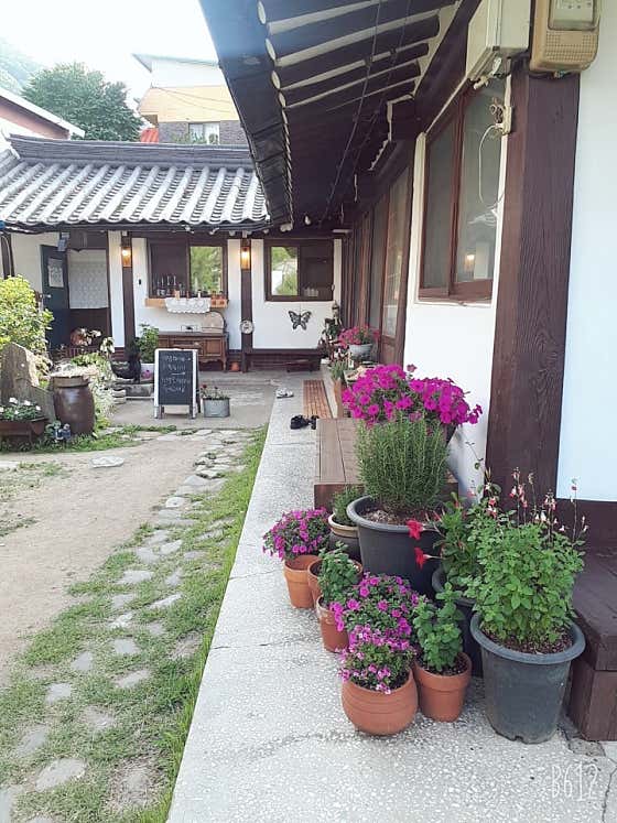달보다가 사진