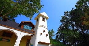 제제 & 피노키오