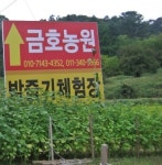 금호농원