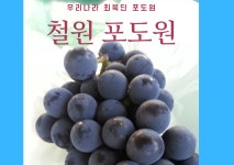 철원포도교육농장