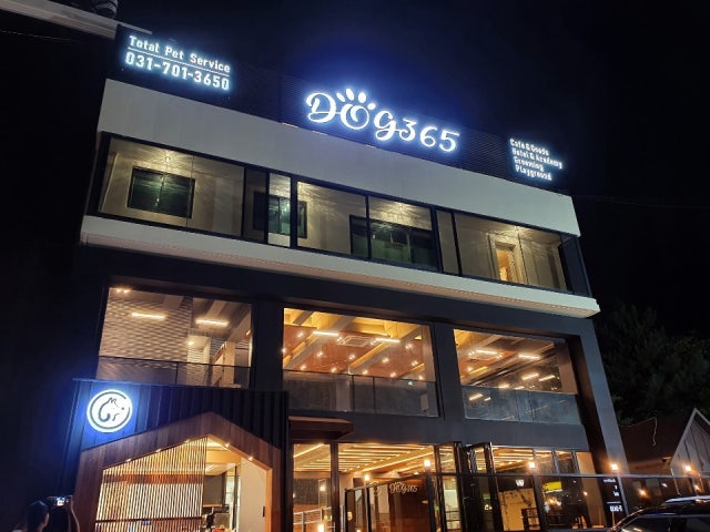 도그365