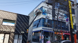 뉴월드