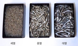 바다마을