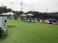 댕지트