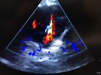 이솝동물메디컬