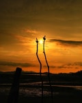 하늘별바다펜션 & 별다방