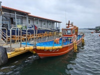 오뚜기좌대낚시