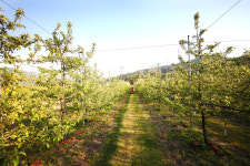 청산마을 가족단체펜션