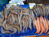 자매수산