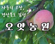 오얏농원2