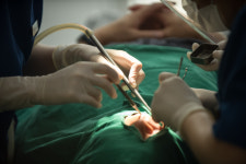 더블유에스치과병원