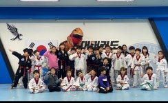 연세대태권도