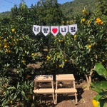 제주사랑 체험농장