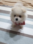 유정헤어샵