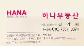 하나부동산중개사무소